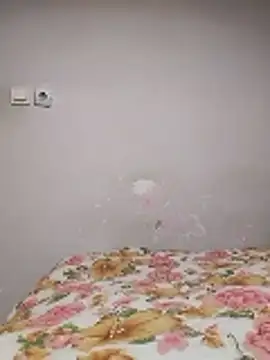 nihattttttttttttttt online show from January 2026 07:49:02 PM