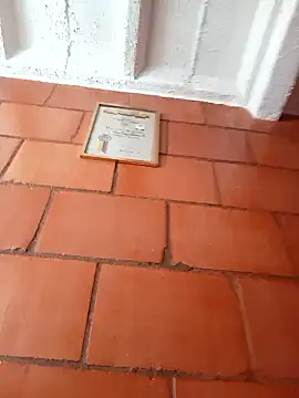 Lee priest online show from January 2026 05:27:02 PM