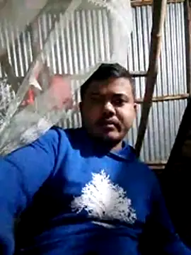 CatchingBouquet online show from December 2025 01:52:02 PM