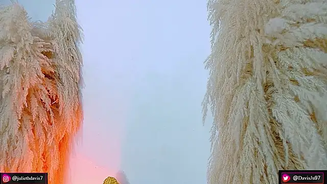 JulietaDavis online show from April 2026 09:34:01 AM