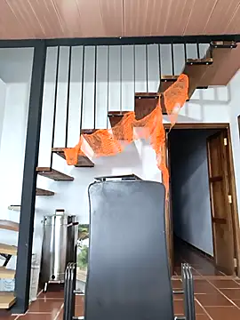 Hiroshi Shen online show from November 2025 11:21:01 AM