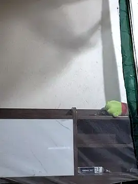 Maria2299 online show from November 2025 05:36:02 PM