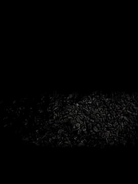 steelwoodVids online show from November 2025 01:49:01 AM