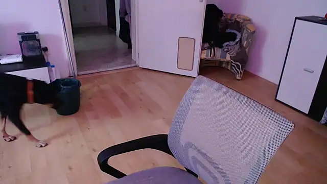 Aliens4twenty online show from September 2025 12:09:01 PM