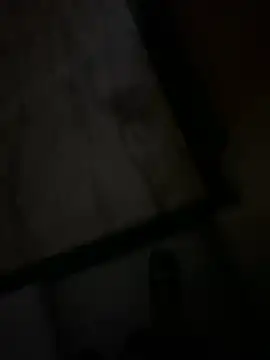 hyderabadii boi online show from November 2025 04:36:01 PM