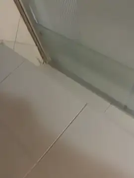 Mbidee online show from March 2026 05:28:01 PM