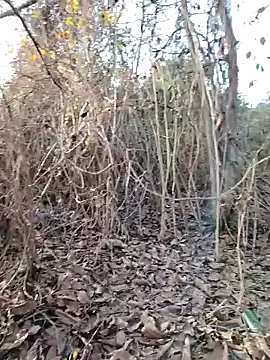 Prince-sexy online show from December 2025 02:13:01 PM