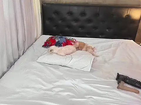 hotbabymaria online show from November 2025 01:26:02 AM