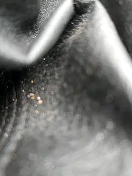 legaros online show from October 2025 08:04:02 AM