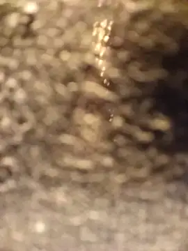 Venessa online show from December 2025 01:14:02 AM