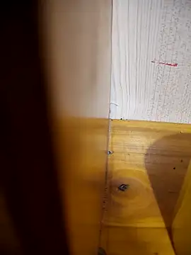 daisylouis online show from April 2026 01:07:01 AM