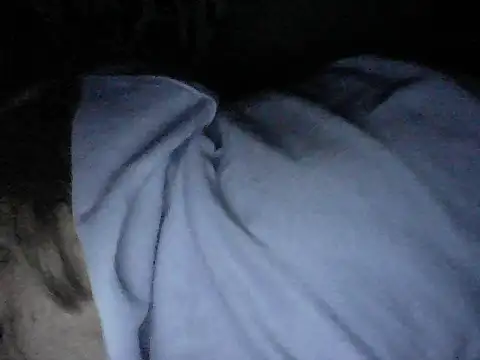 Twoslipperywhenwett online show from November 2025 01:39:02 PM