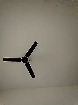 shreyas79 online show from October 2025 06:19:02 AM