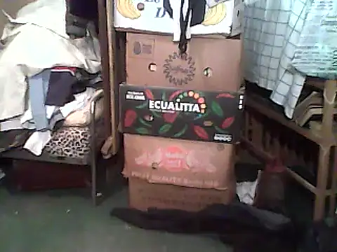 Snapshot of A1B3- chatting on December 2025 02:44:02 PM A1B3- online show from December 2025 02:44:02 PM