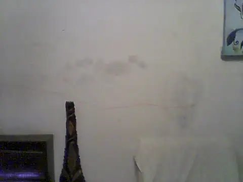Bebita-zmp online show from June 2026 12:57:01 AM