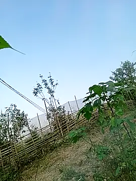 Snapshot of Chubbyhoney1 chatting on March 2026 09:43:01 AM Chubbyhoney1 online show from March 2026 09:43:01 AM