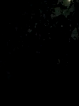 Girls pussy rider online show from February 2026 05:35:01 PM