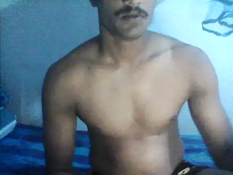 Bullboy8in online show from November 2025 05:56:02 PM