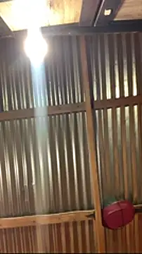 jabulani2600 online show from January 2026 09:07:02 PM