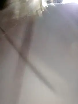 daisy will online show from December 2025 02:08:02 AM