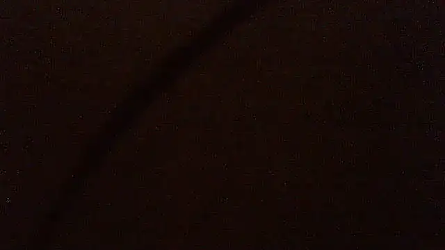 pietje1991 online show from June 2026 12:22:01 AM