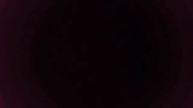 sakuradelreina online show from December 2025 04:06:02 AM