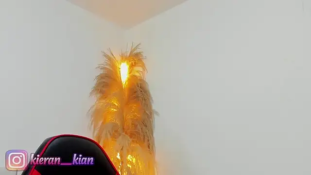 Kieran kian online show from April 2026 03:55:02 PM