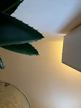 Michel huge online show from January 2026 06:51:02 AM