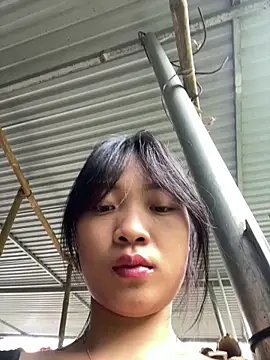 Phayphay77 online show from October 2025 08:37:01 AM