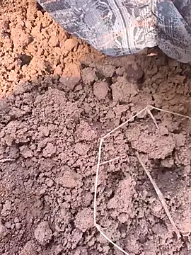 Hot raaani online show from November 2025 06:13:02 AM