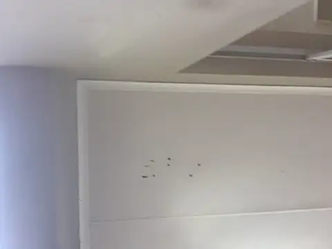 sex-machanic online show from November 2025 03:31:01 AM