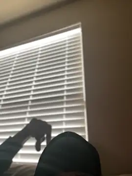 Snapshot of Dolla-Billlz chatting on March 2026 02:45:02 PM Dolla-Billlz online show from March 2026 02:45:02 PM