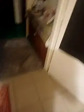 PavloBok online show from February 2026 04:33:01 PM