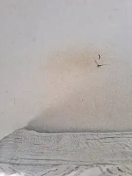 jujuhpimenta online show from November 2025 11:21:01 AM