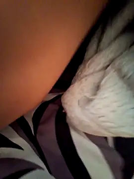 BooingCabalist online show from March 2026 05:45:02 AM