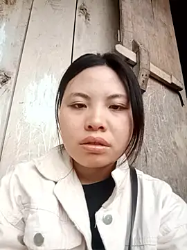 qtphaii online show from April 2026 08:29:02 AM