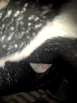 Snapshot of fantasma667 chatting on December 2025 12:21:02 PM fantasma667 online show from December 2025 12:21:02 PM