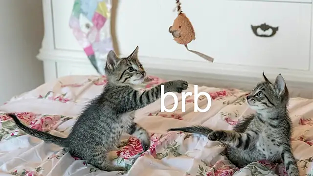 Pink girl0n online show from March 2026 09:51:02 PM