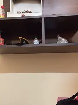 modelnishu online show from April 2026 06:19:01 AM