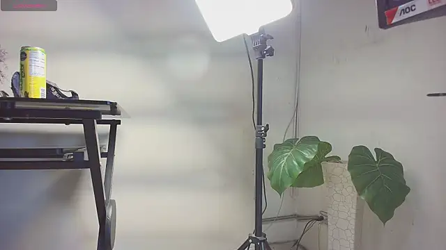 sakuramoss online show from October 2025 06:43:01 AM