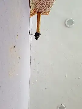 funcreat online show from September 2025 11:54:02 AM