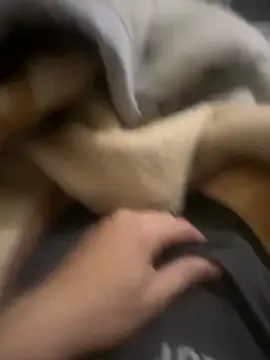 zackria online show from December 2025 12:29:01 AM