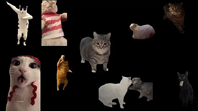 ch0wn m online show from September 2025 11:55:02 AM