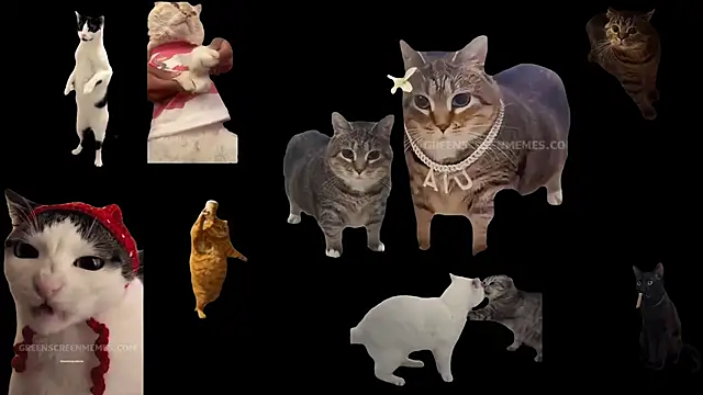 ch0wn m online show from October 2025 10:44:01 AM