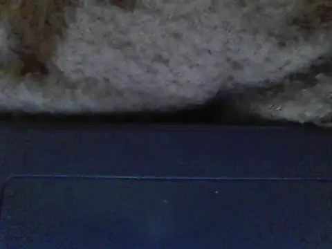 ursdreamperson online show from December 2025 05:09:01 PM