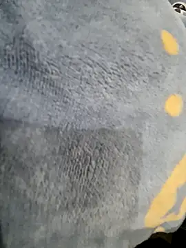 Boyshow88 online show from February 2026 03:17:02 PM