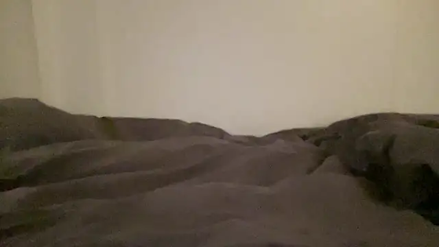 peterpapiNL online show from January 2026 01:31:01 AM