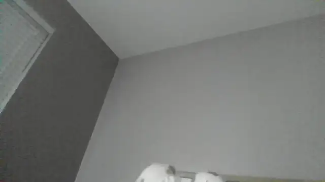 Snapshot of SexyKatiex chatting on December 2025 09:43:01 PM SexyKatiex online show from December 2025 09:43:01 PM