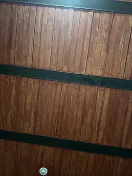 LiaCollings online show from February 2026 12:03:01 PM