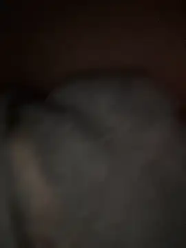 sunset24 online show from March 2026 12:54:01 AM